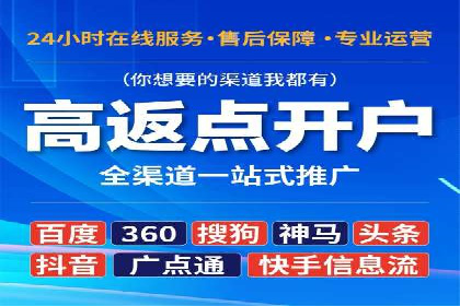 某电商平台的SEM投放全流程案例